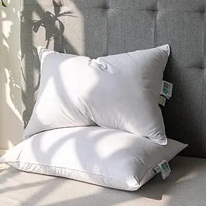 Alanzimo Pillows